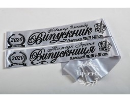 Срібна Стрічка з прізвищем і номером школи